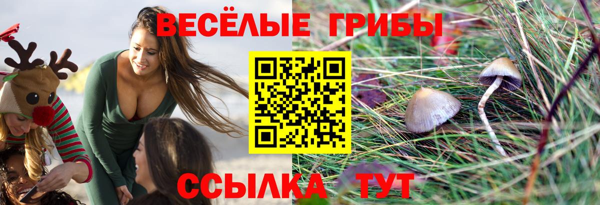 Галлюциногенные грибы мицелий  Вход с VPN  где продают наркотики  Казань 