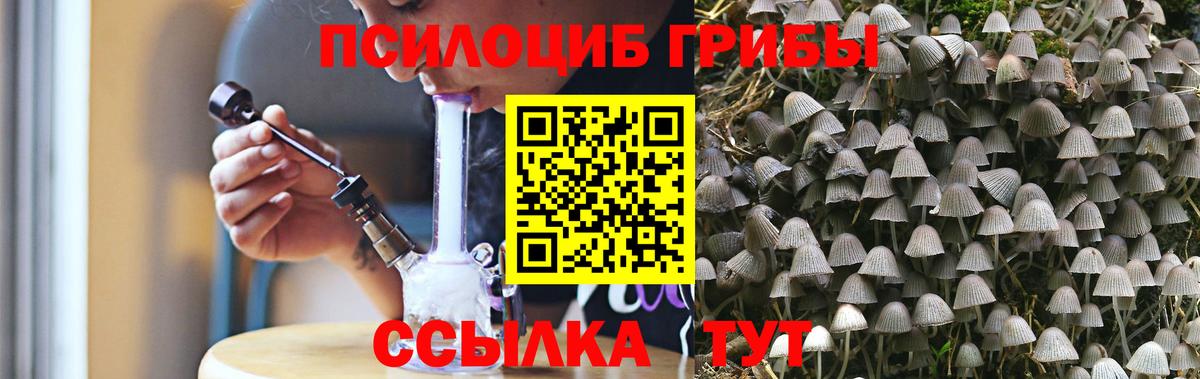 Галлюциногенные грибы Magic Shrooms Казань